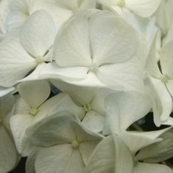 zasklení balkónu