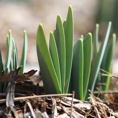 kalorimetr, bilanční metoda určování spotřeby tepla